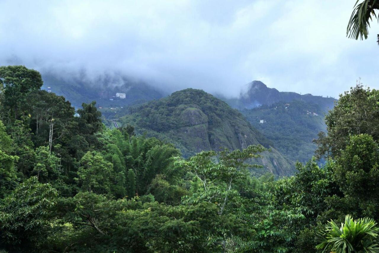 Ayursakthi Riverdale Munnar Exterior foto